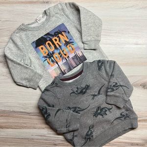 Trendy Baby Boy Sweatshirts Set of 2